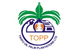 TWIFO OIL PALM PLANTATIONS LTD